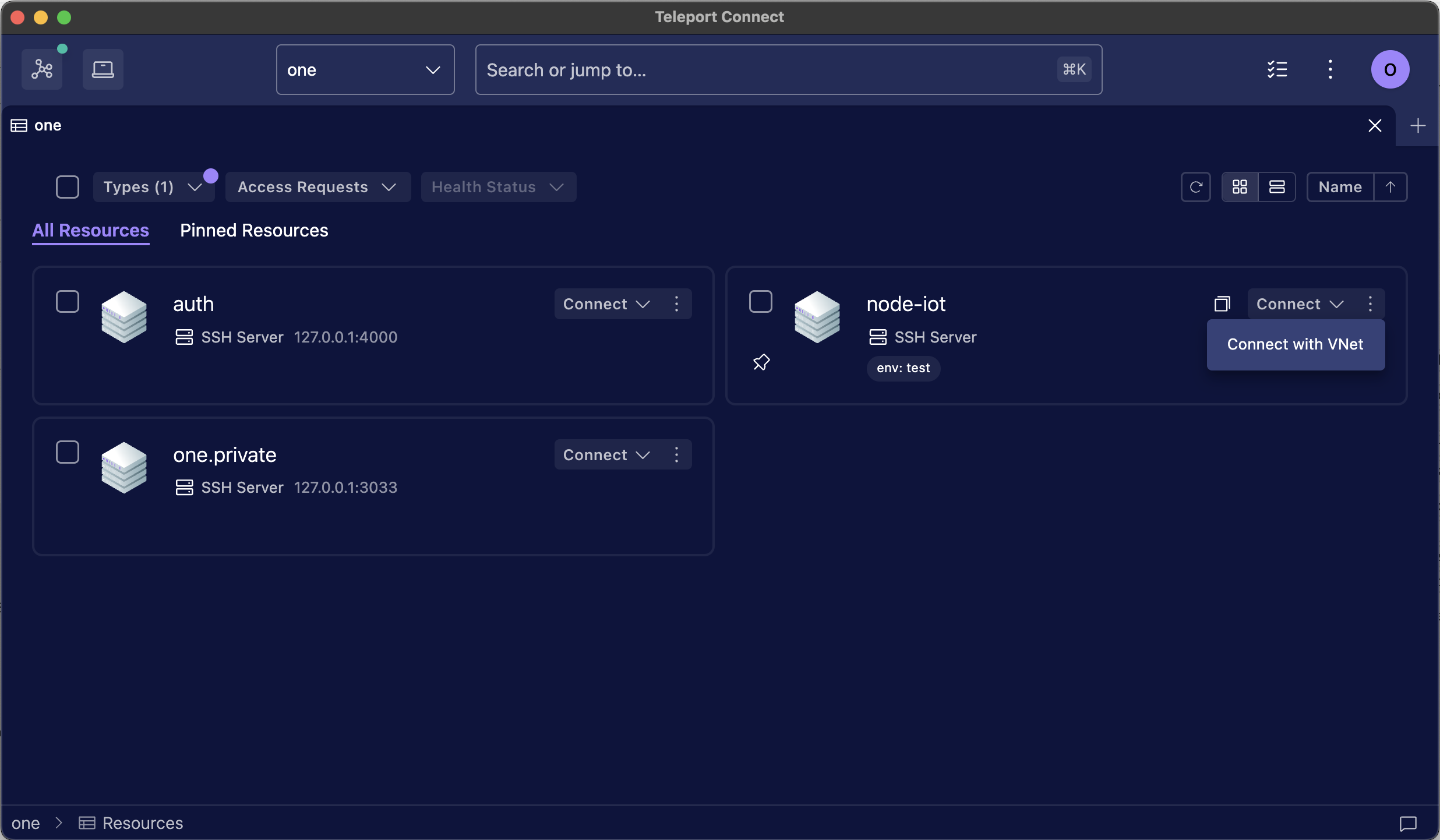 SSH server in Teleport Connect with &quot;Connect with VNet&quot; menu open